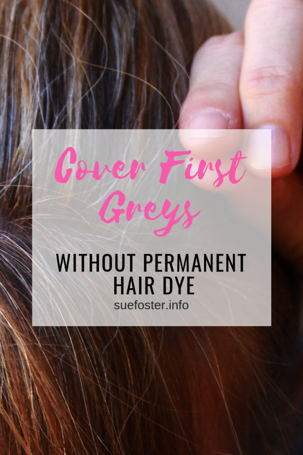 Cover First Greys Without Permanent Hair Dye & Save Money | Sue Foster ...