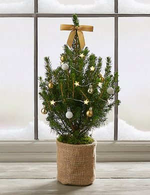 Christmas Letterbox Mini Tree