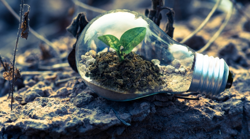 How You Can Become More Environmentally Friendly As A Business