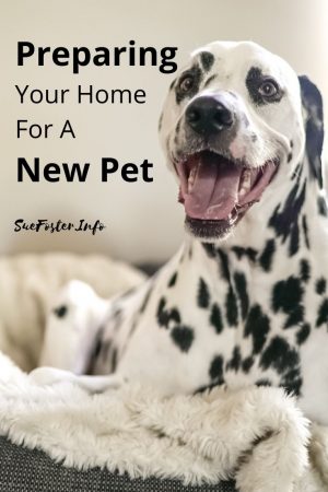 Preparing your home for a new pet