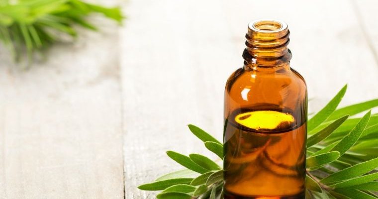 10 Useful Tea Tree Oil Blend Recipes