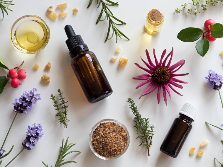 How Are Essential Oils Extracted From Plants?