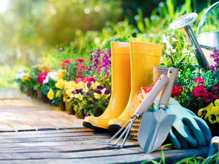 The Health Benefits of Gardening & Money Saving Tips