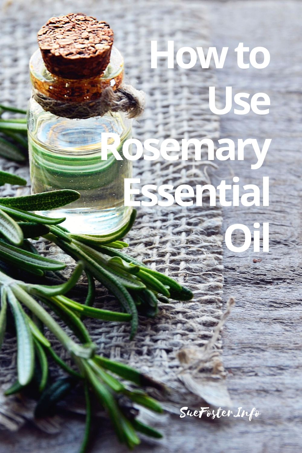 Rosemary essential oil is jampacked with a host of health benefits from cosmetic enhancements to mental stimulation.