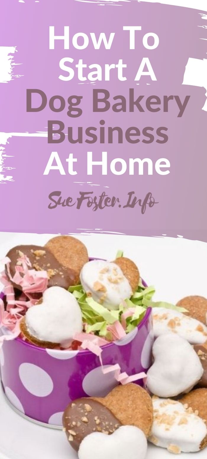 More and more people are now working from home or would like to work from home. If you love dogs, then starting a dog bakery business selling treats online or in-person could be just the thing for you.