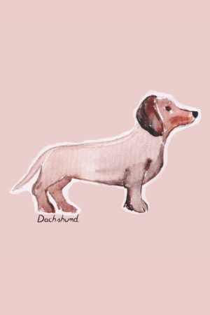 A cute dachshund notebook/journal featuring a wiener dog on the cover. Contains 100 pages with a dachshund on each of the interior pages.