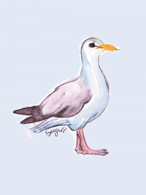 Seagull Notebook, Journal Containing 100 Lined Pages with a Seagull Image on Each One.