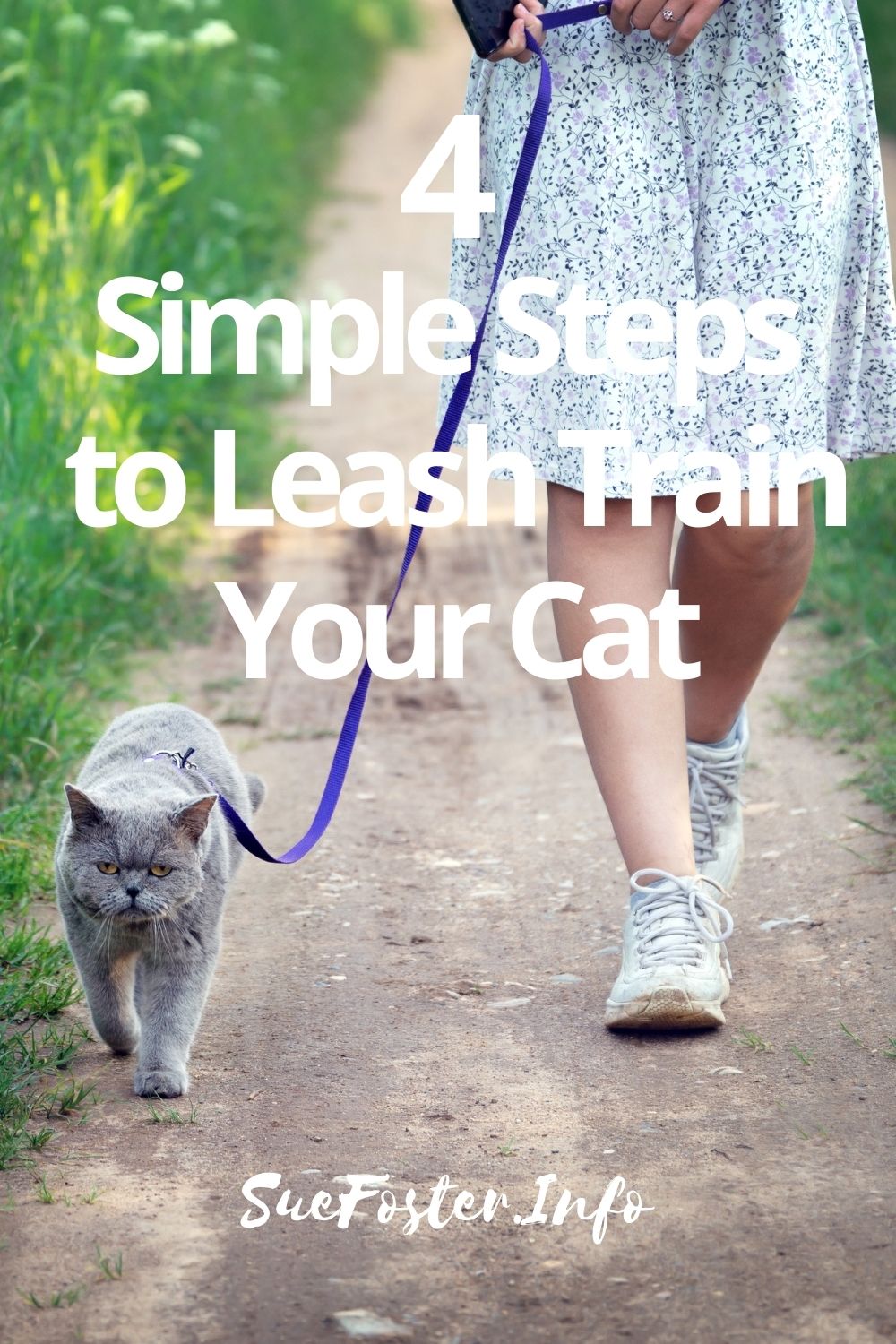 Have you ever wanted to take your cat outside to explore with you? If you're willing to be patient, introduce your cat slowly, and provide a lot of positive reinforcement, you can take them on walks with you in no time!