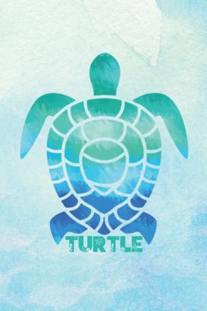 Turtle Notebook
