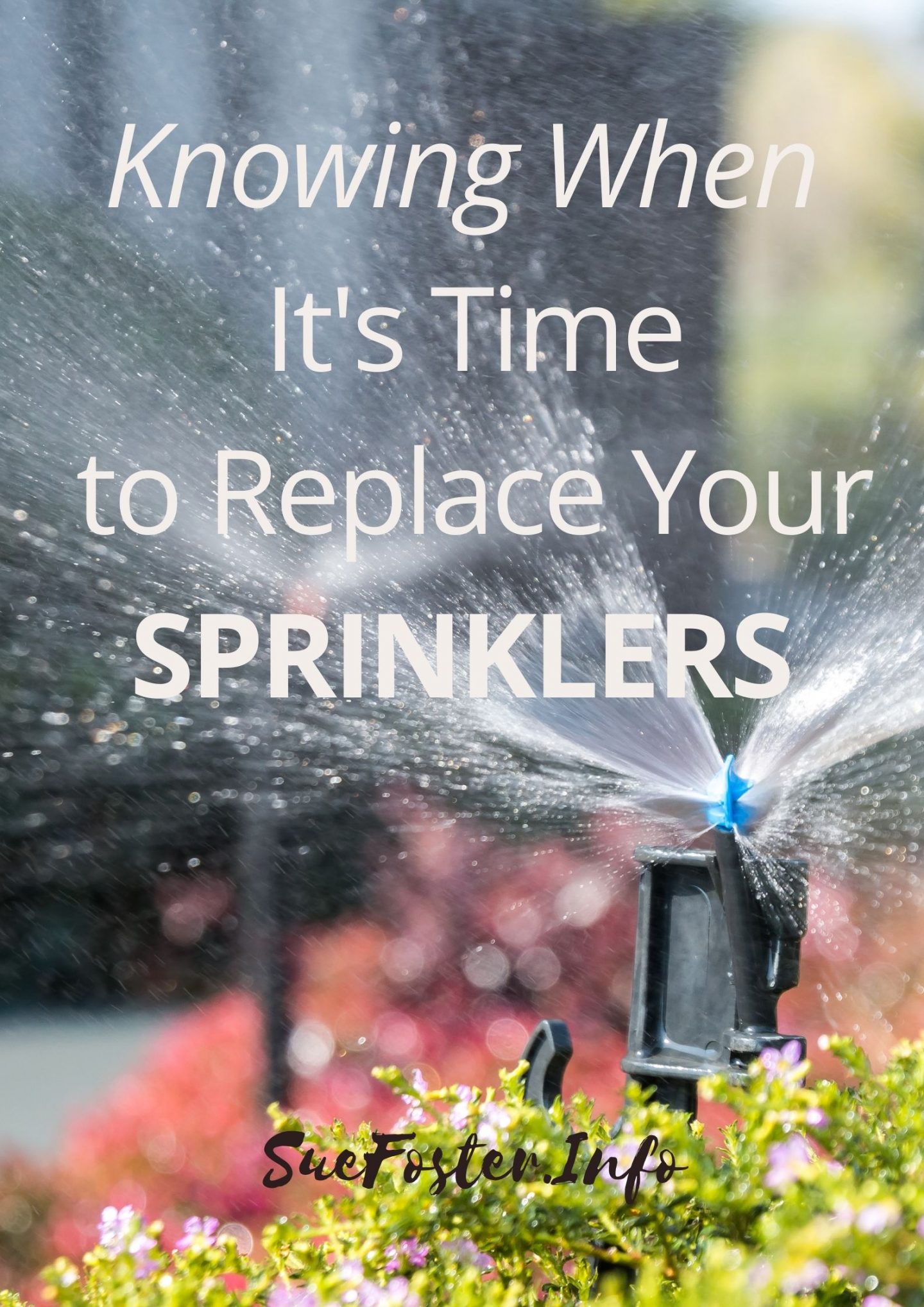 If you want to take care of your lawn properly, you need to make sure that the sprinklers are in good shape. Here are some signs to watch out for.