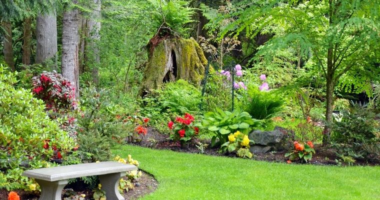 Making Your Yard Look Well-maintained Doesn’t Have to be Hard