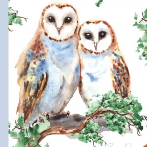 Barn owls notebook