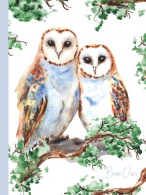 Barn owls notebook
