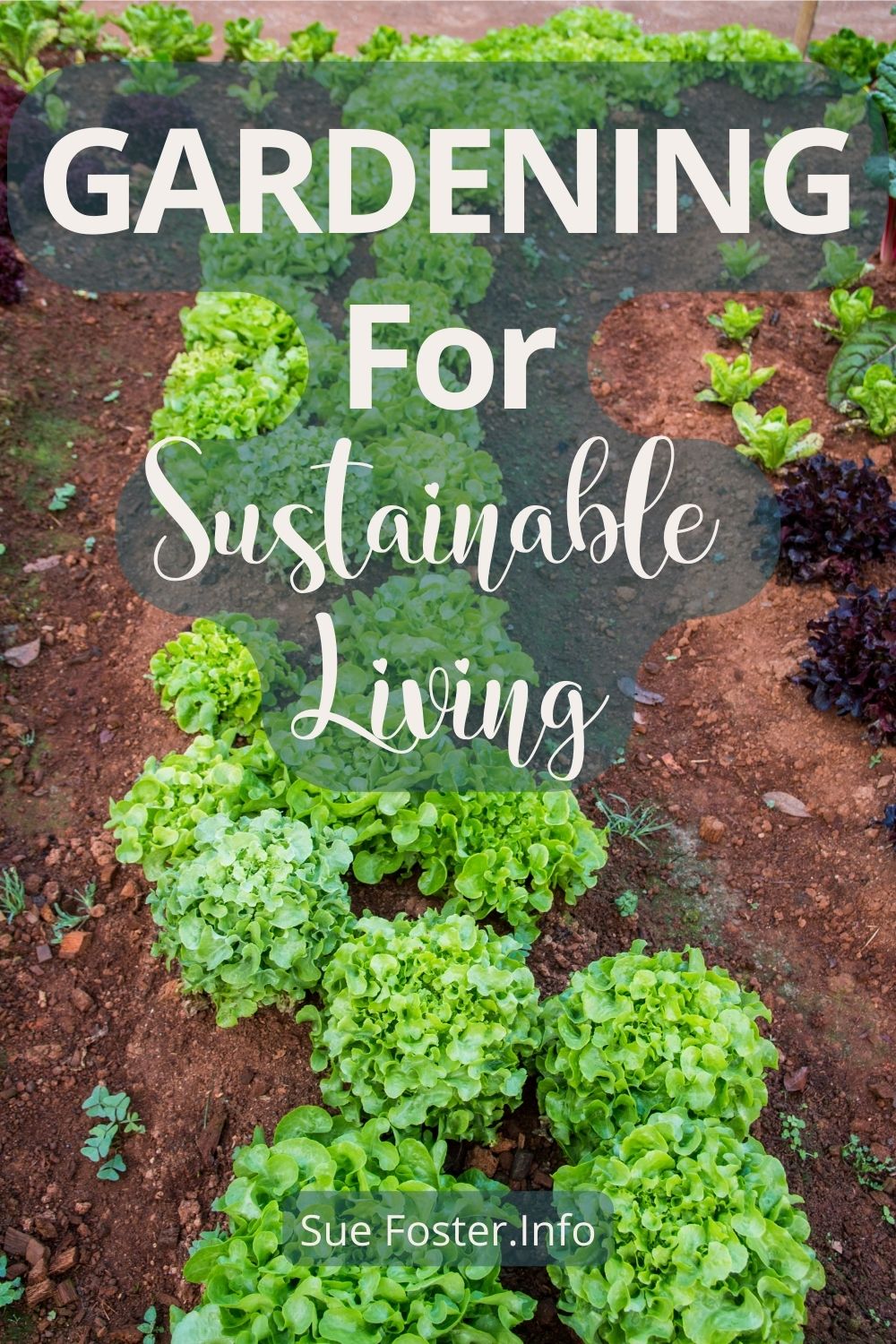Gardening for sustainable living