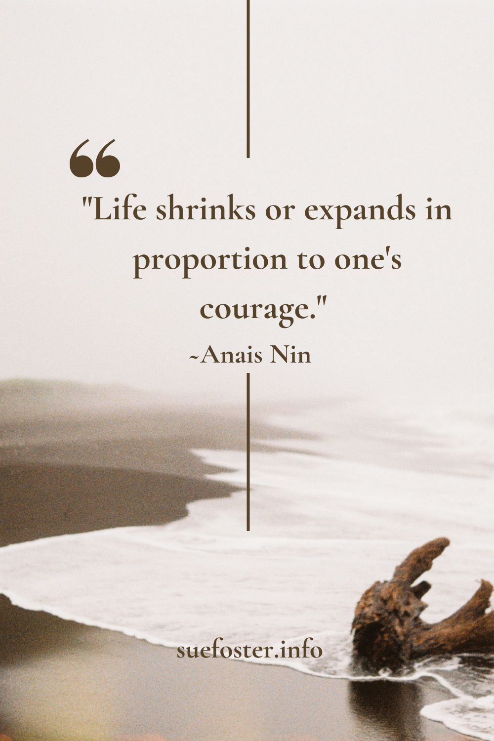 "Life shrinks or expands in proportion to one's courage." ~Anais Nin