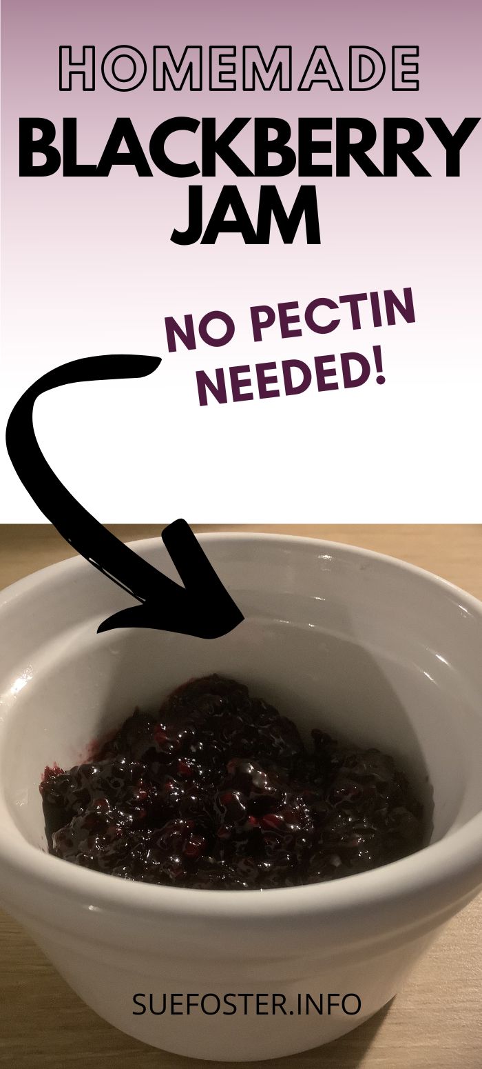 There is nothing more satisfying than picking blackberries and then having a go at making your own blackberry jam. This is a great home-ed activity to do with the kids. It's free to do and gets the family outside in the fresh air and sunshine. 
