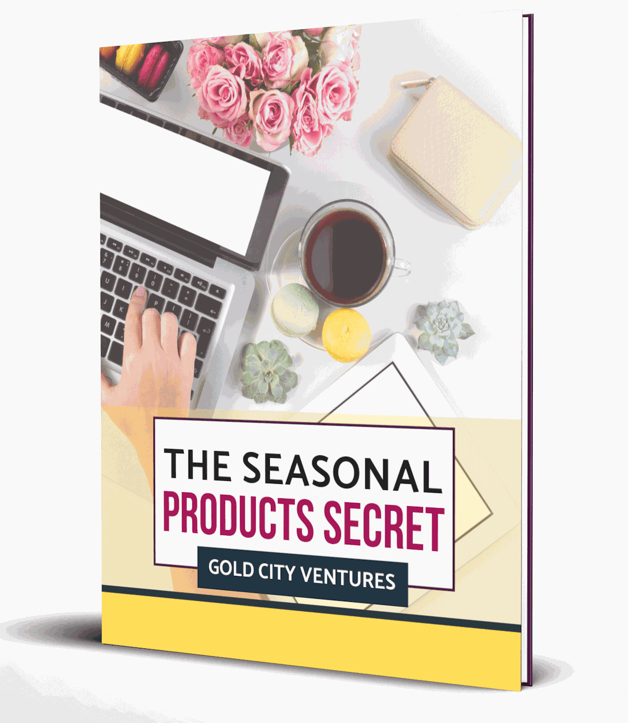 This e-book will give you a secret list of best-selling products by month and teach you how to capitalize on seasonal trends to make sales.