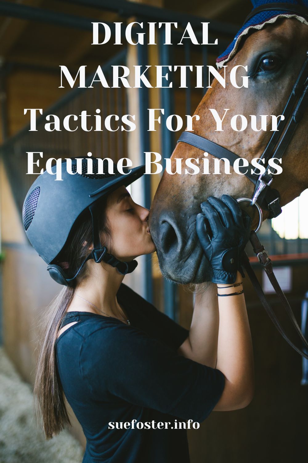 Digital marketing strategies that are most suitable and effective for equine businesses