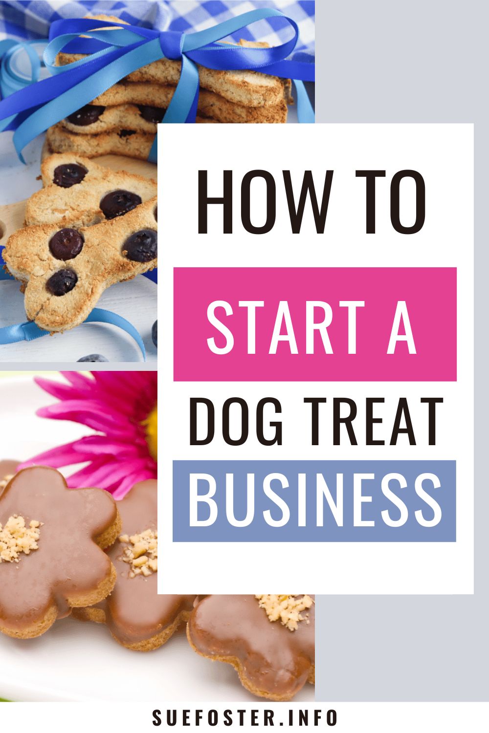 Whether the goal is to earn an extra $500 – $2,500+ per month or create a full-time income recurring revenue business, Diva Dog Bakery will teach you exactly what you need to know to create a thriving dog treat bakery.