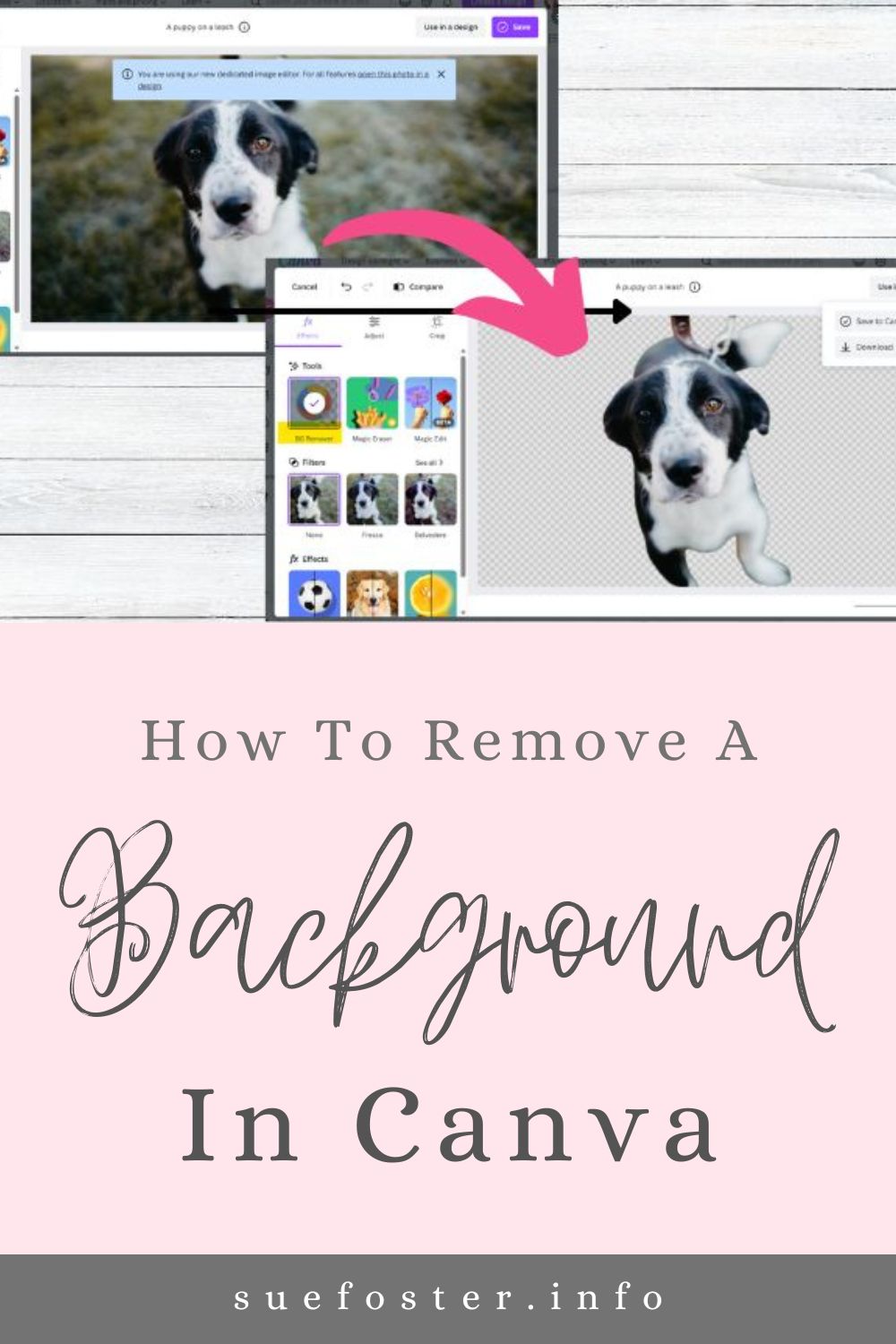 Discover how to remove image backgrounds using Canva with my easy-to-follow guide that's perfect for beginners.