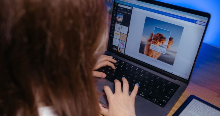 Person using Canva websites