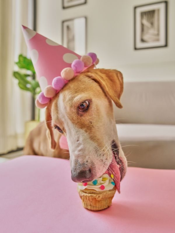 600 x 800 landing page